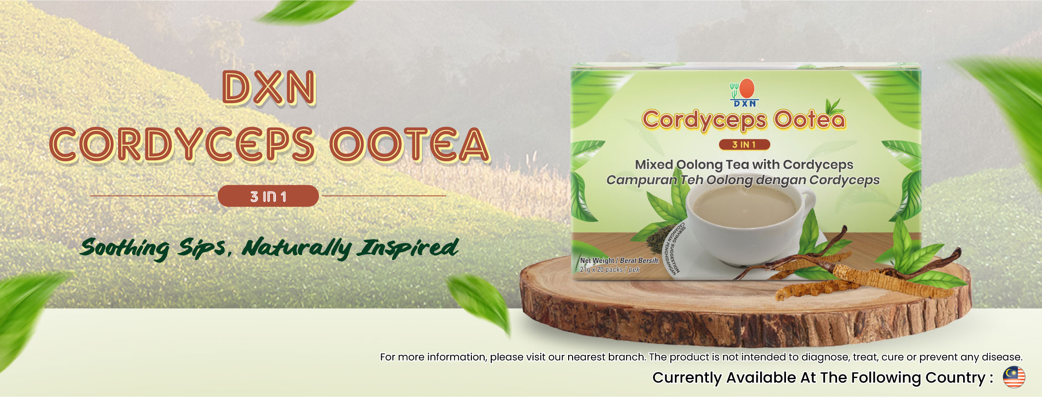 DXN Cordyceps Ootea 3 in 1 Banner